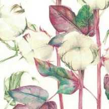 Botanical Cotton Print Italian Paper ~ Tassotti